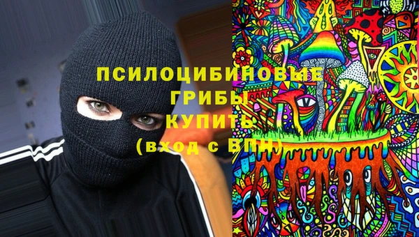 jwh Аркадак