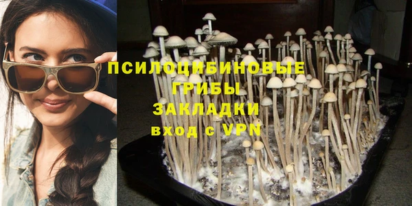 jwh Аркадак